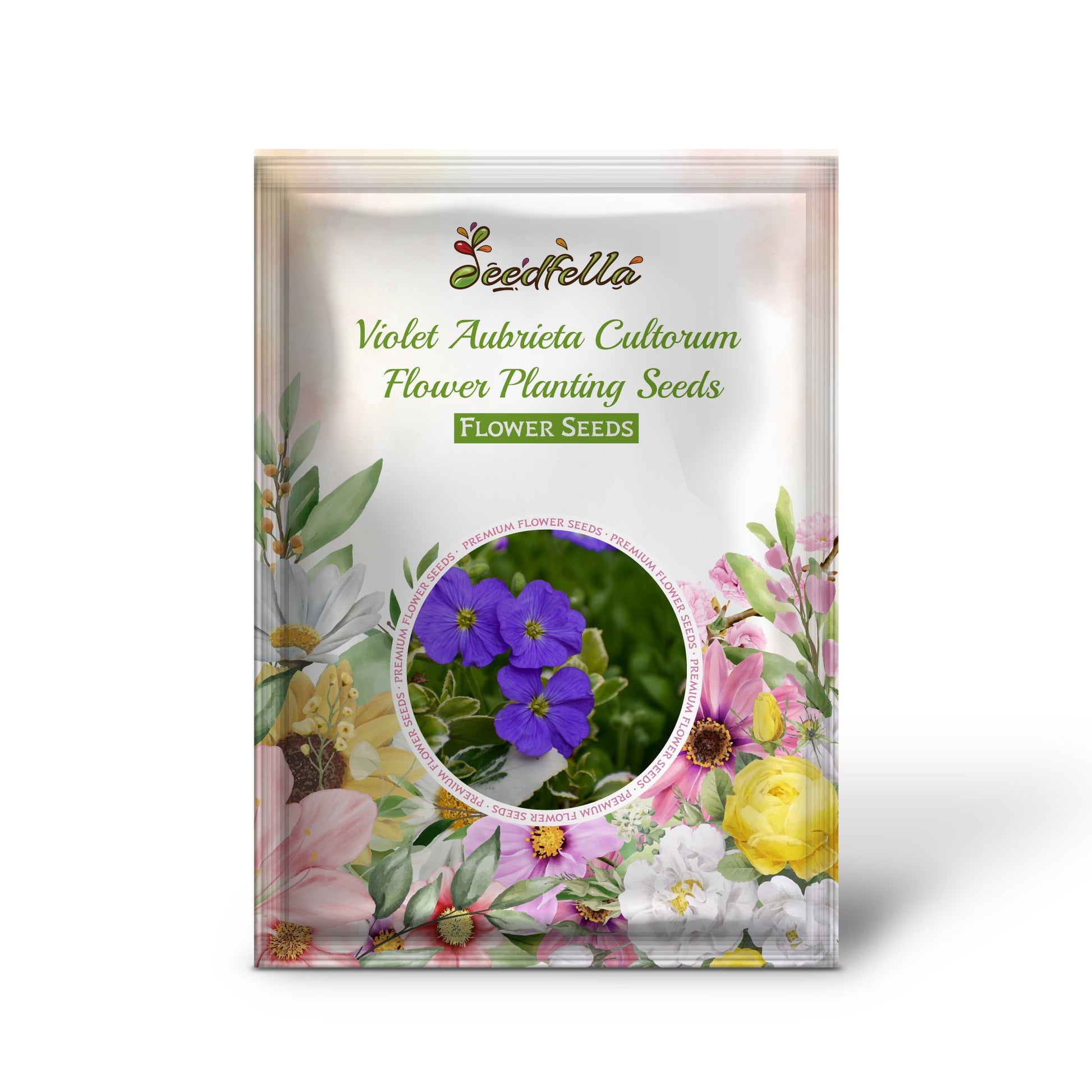 Violet Aubrieta Cultorum flowers blooming in garden