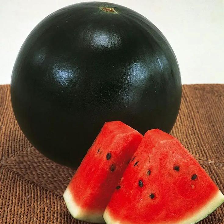 Black Watermelon Seeds for Planting - Grow Your Own Delicious Fruit
