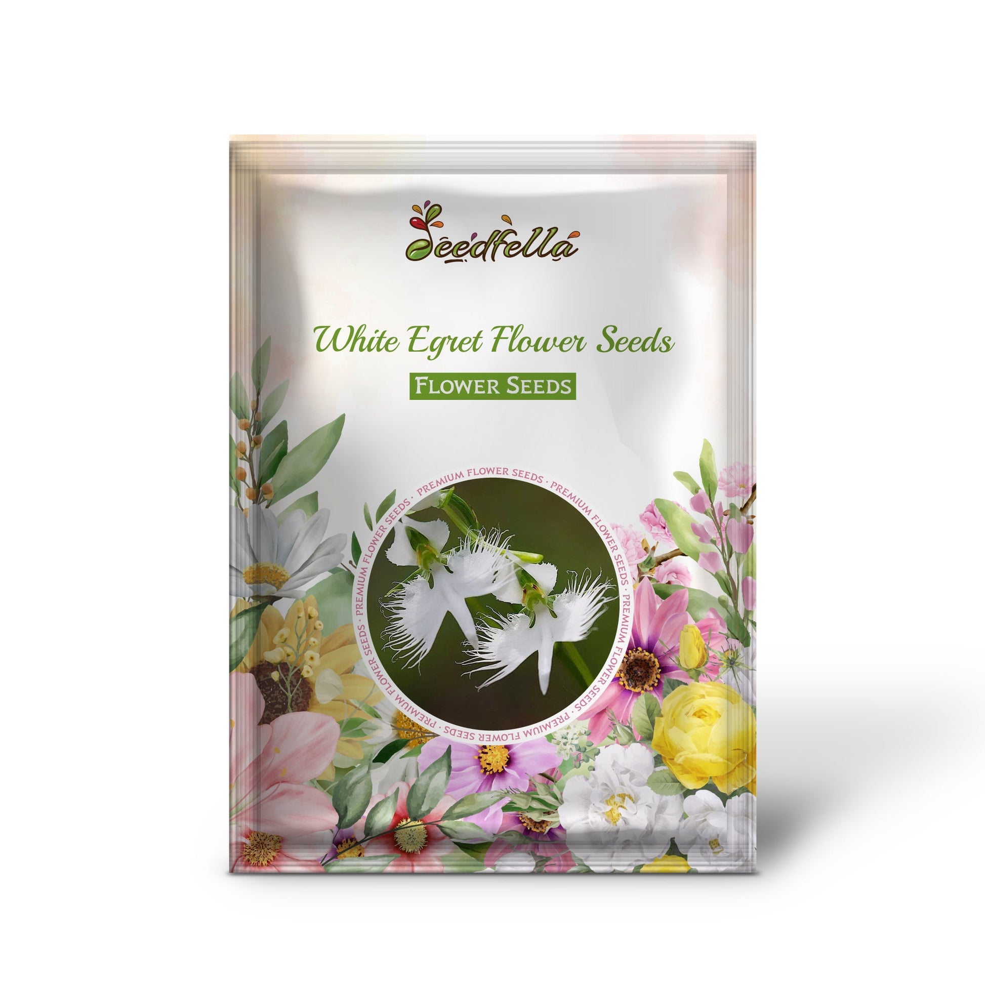 White Egret flowers blooming