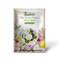 White Evening Primrose flowers blooming at night