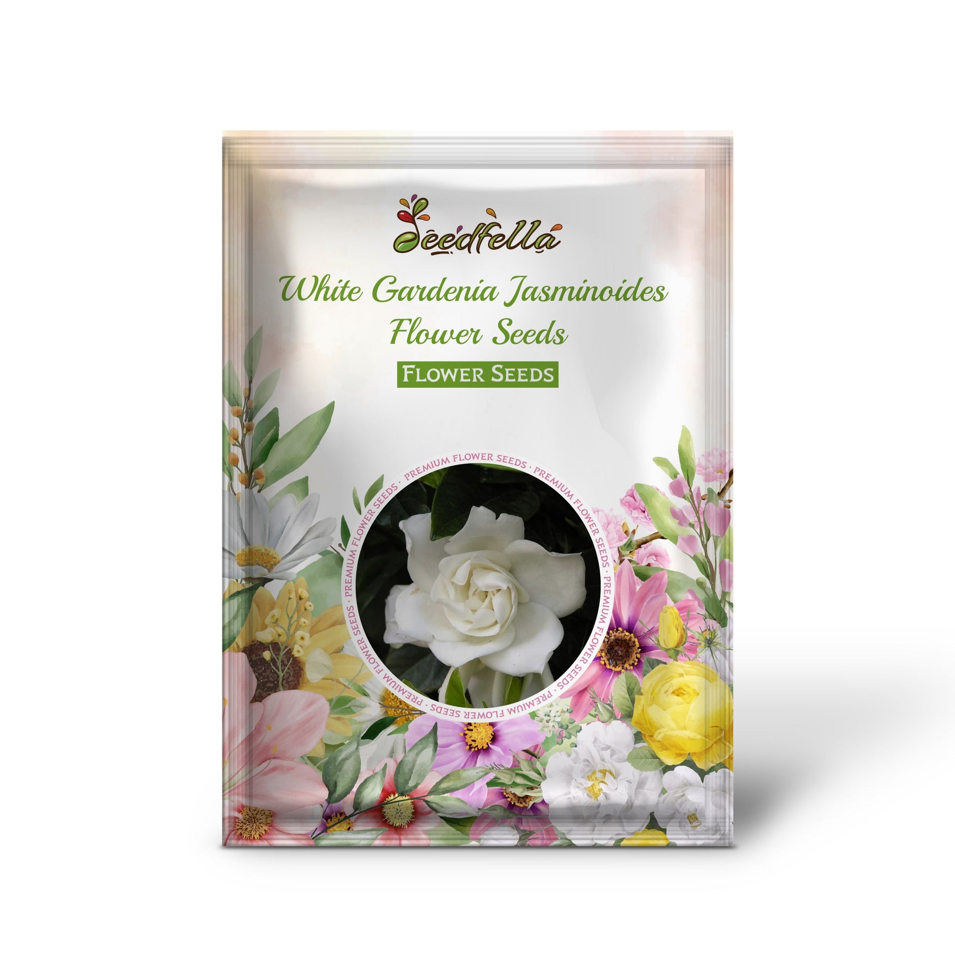White Gardenia Cape Jasmine fragrant flowers