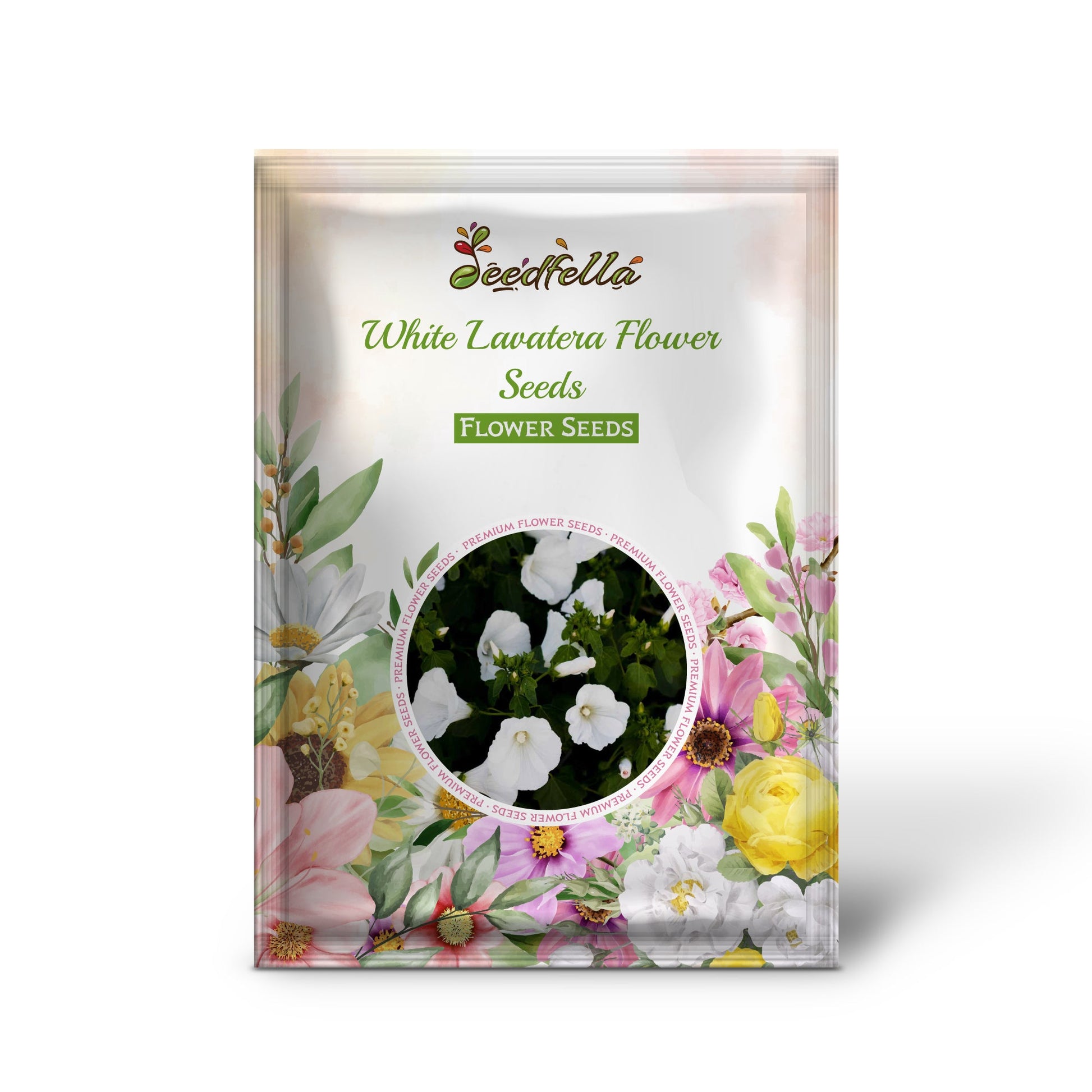 White Lavatera flowers blooming in garden