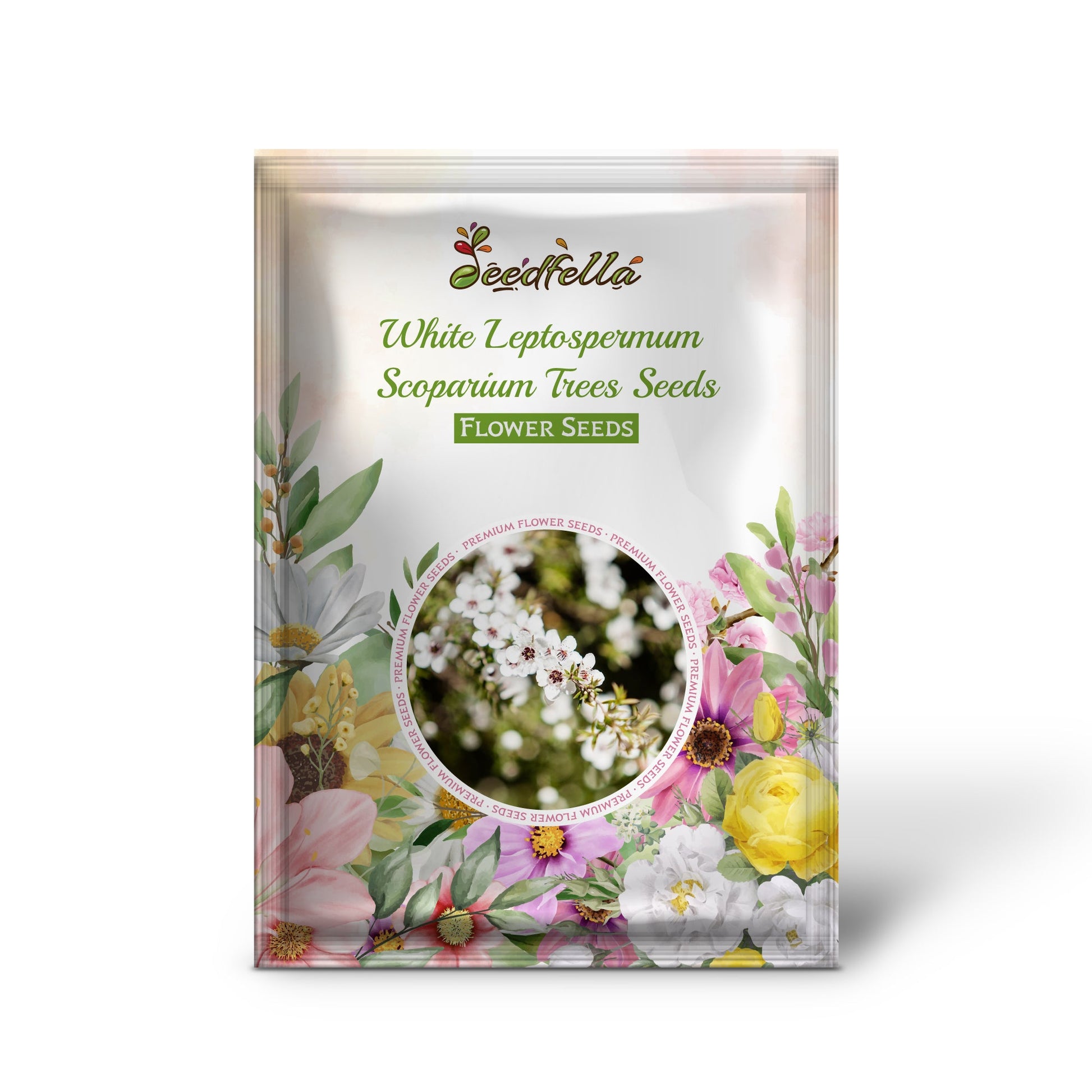 White Leptospermum Scoparium flowers blooming in garden