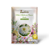 White Oklahoma flowers blooming in garden