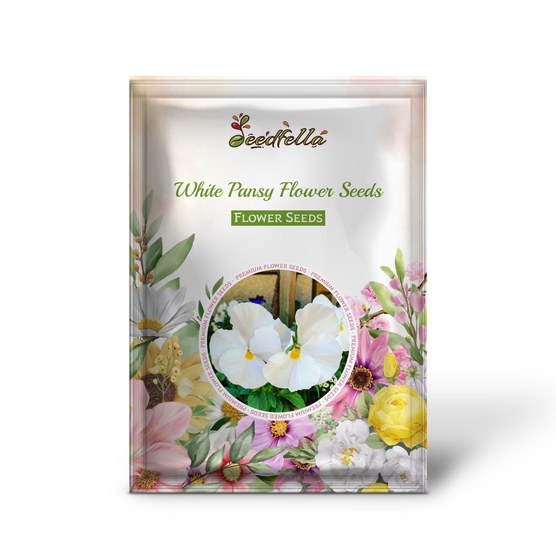 White Pansy flowers blooming in garden