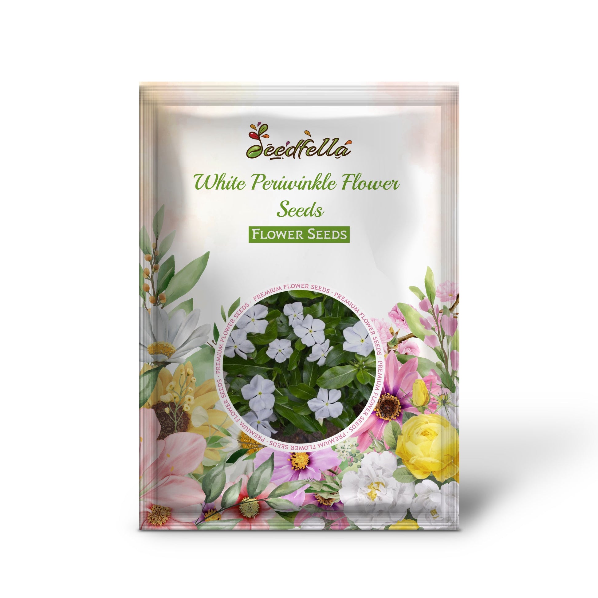 White Periwinkle flowers blooming in garden