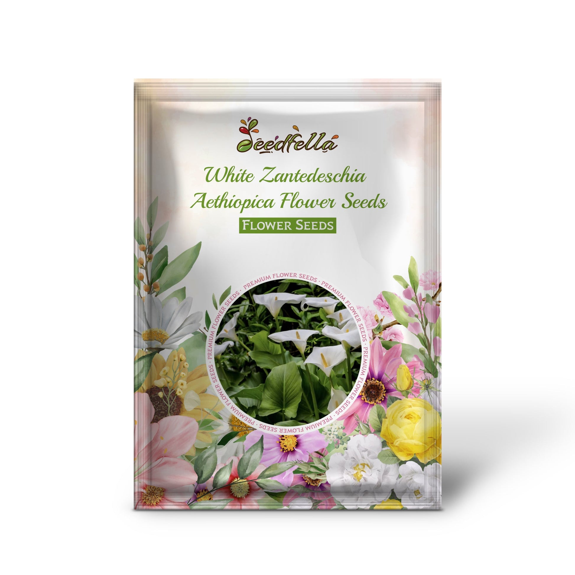 White Calla Lily flowers blooming in garden
