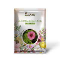 willmott-seeds-for-planting