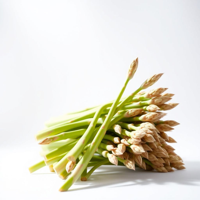 Green Wild Asparagus Seeds for Planting