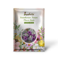 Xeranthemum Annum garden seeds for outdoor planting