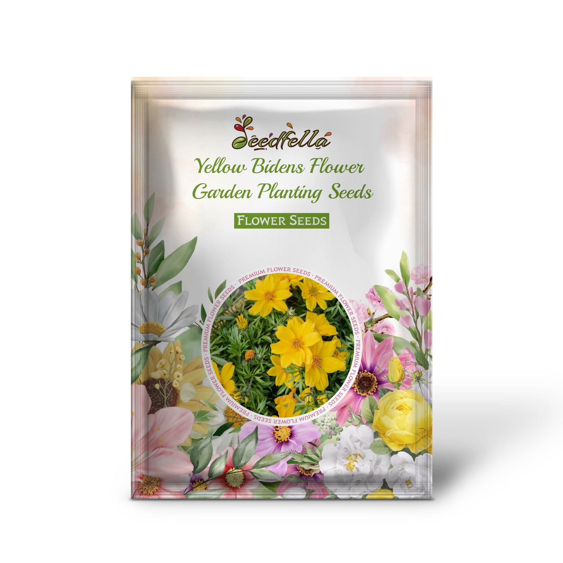 Yellow Bidens flowers blooming in garden