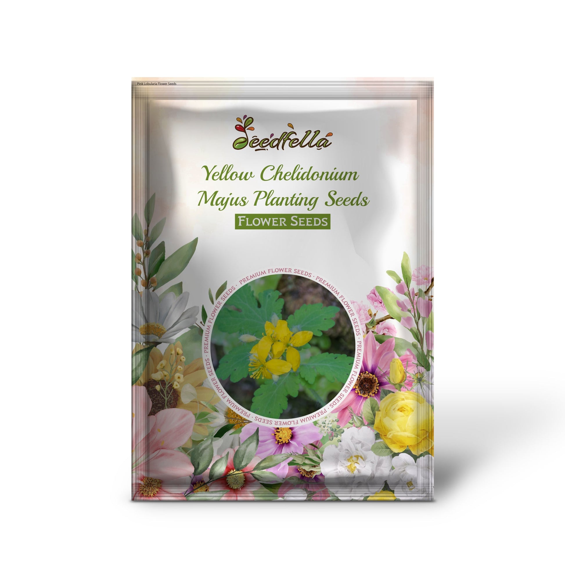 Yellow Chelidonium garden seeds for outdoor planting