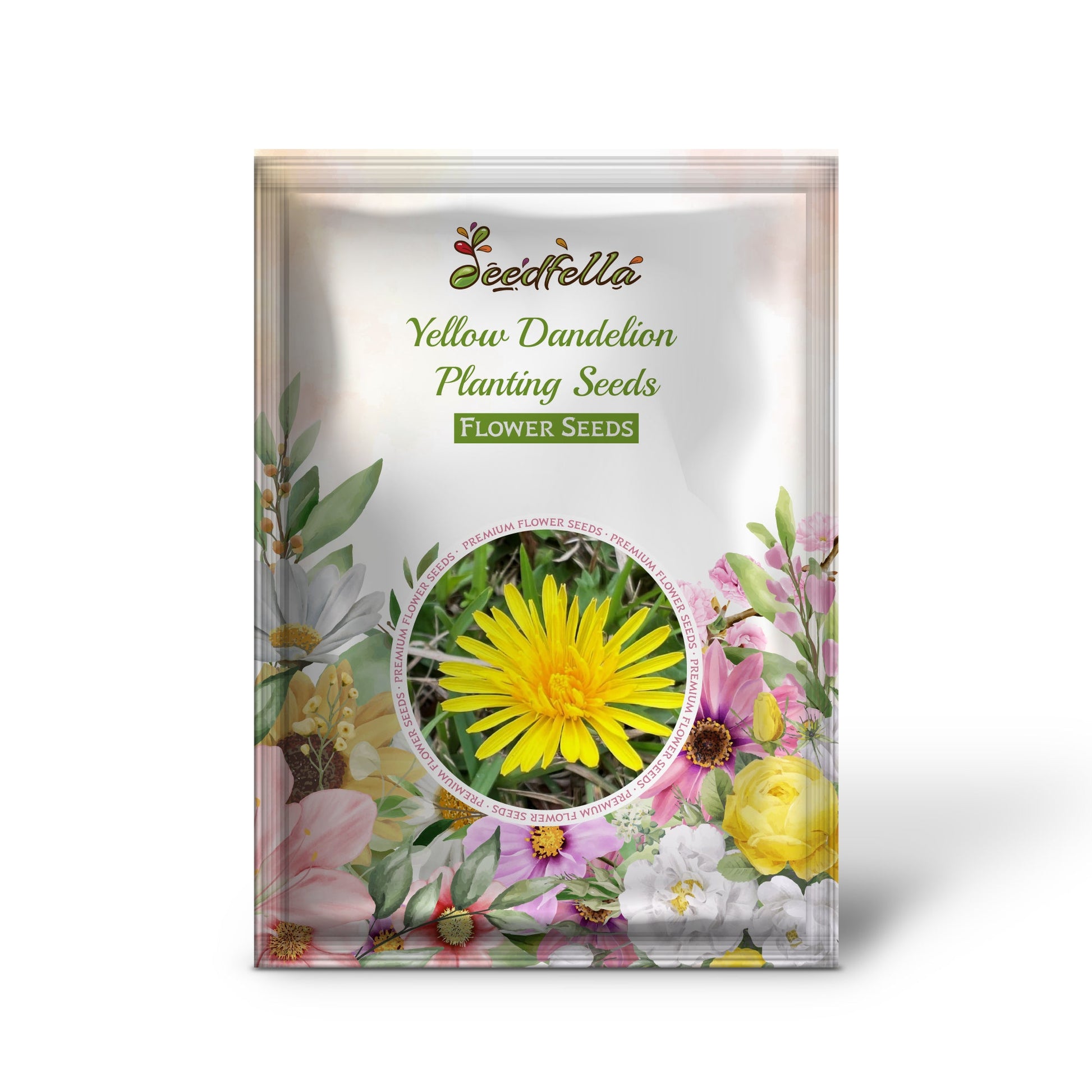 Yellow Dandelion flowers blooming in garden