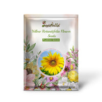 Yellow Rotundifolia flowers blooming in garden