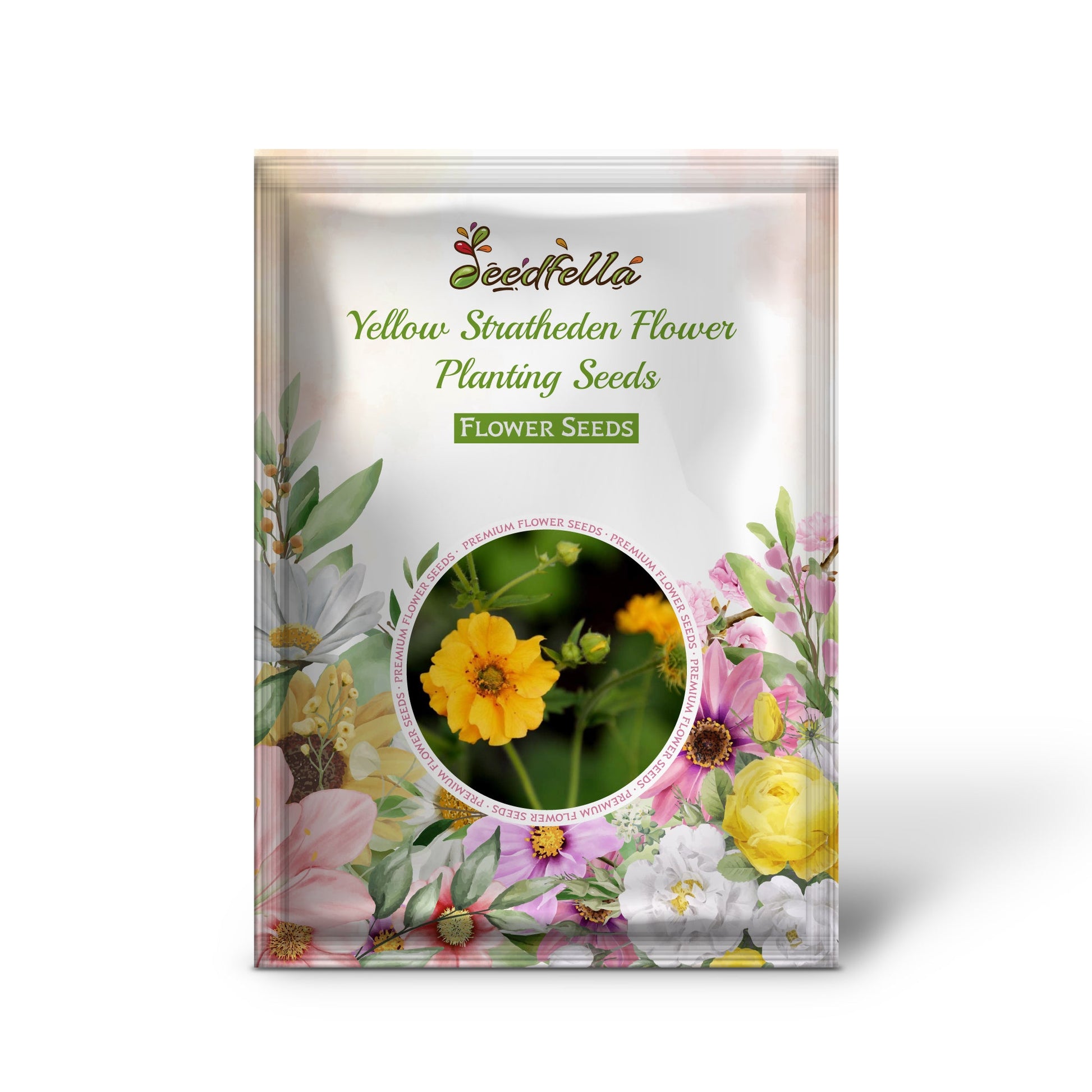 Yellow Stratheden flowers blooming in garden