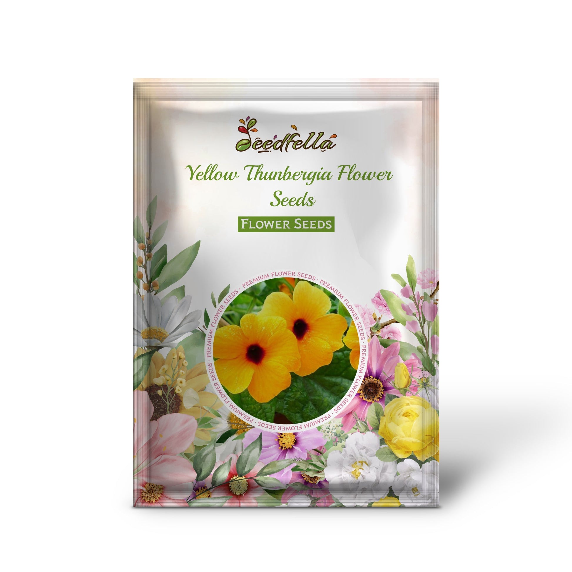 Yellow Thunbergia flowers blooming in garden