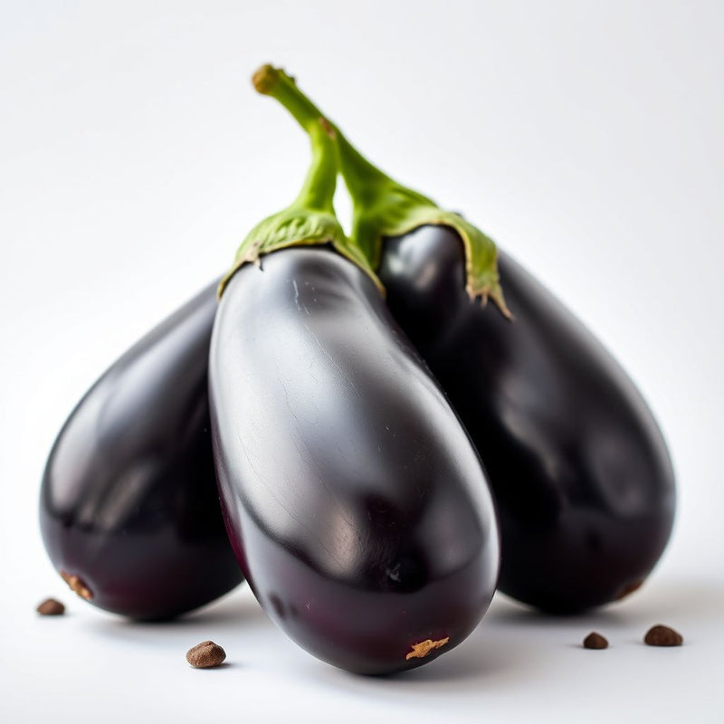 Black Eggplant Vegetable Seeds for Planting | Grow Delicious Eggplants at Home