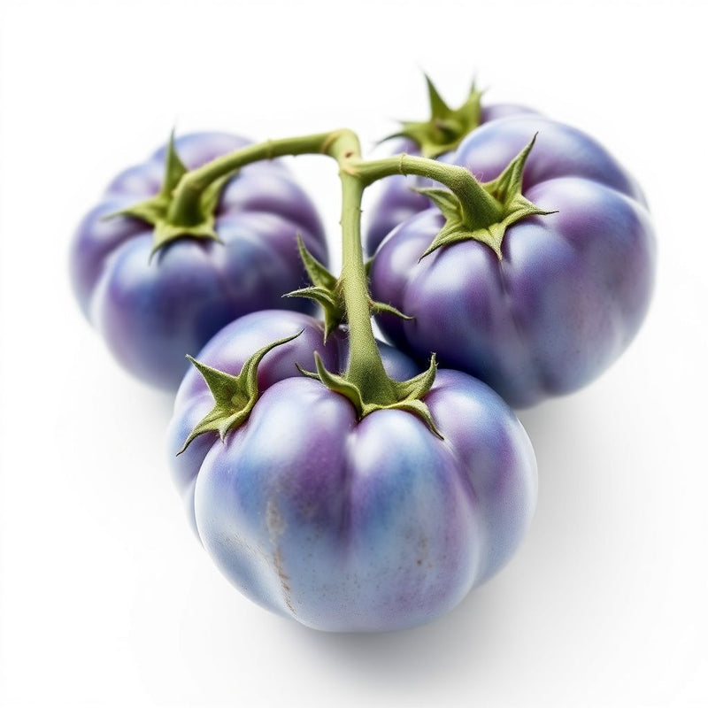 Blue Tomato Vegetable Seeds for Garden Planting