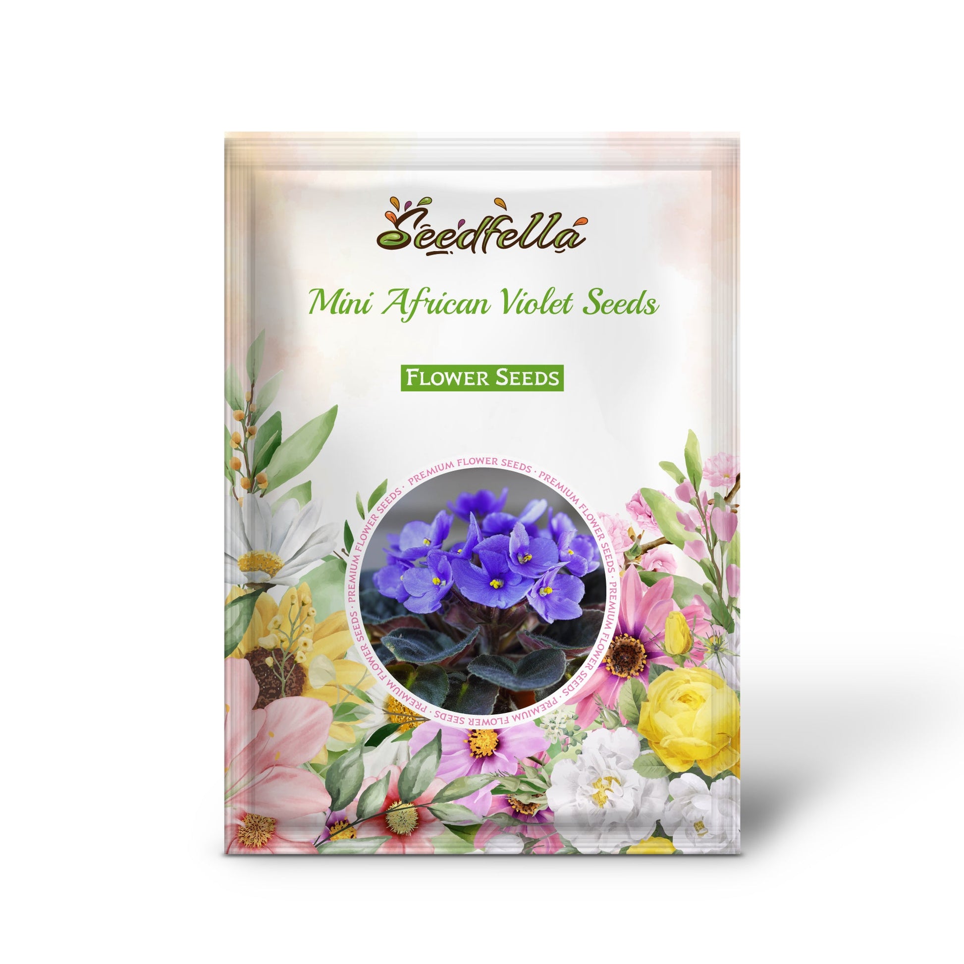 African violet seeds germination seedlings indoor