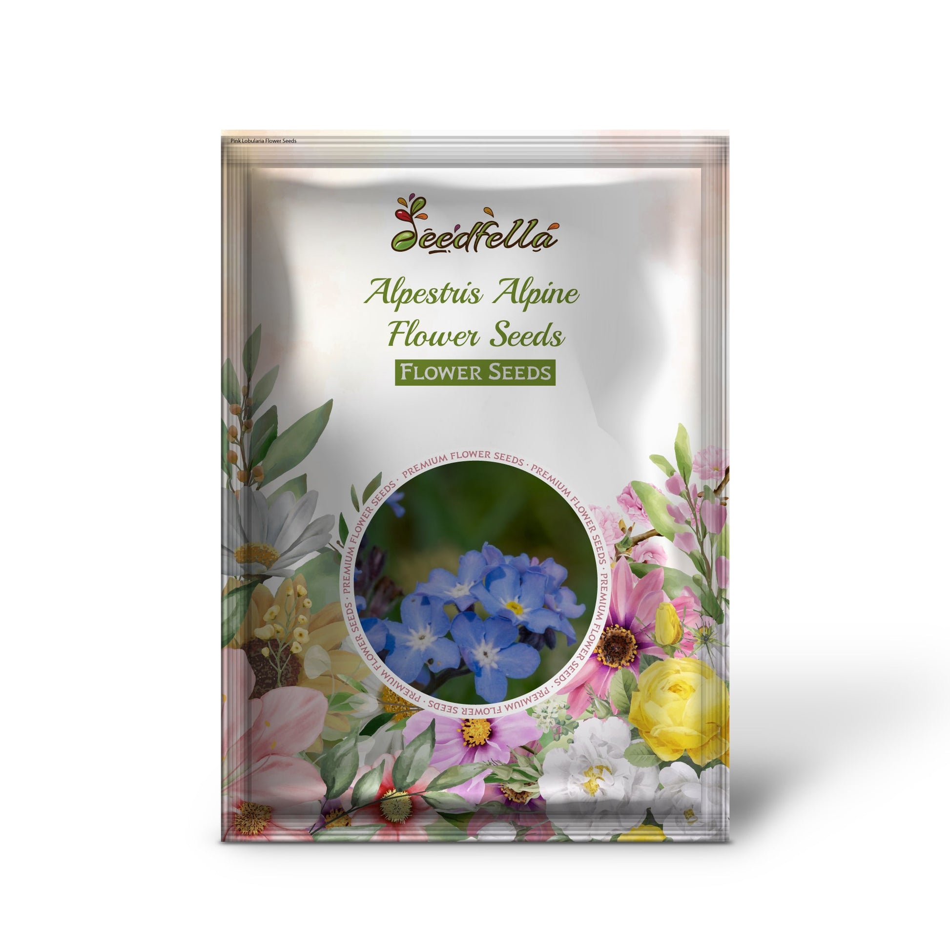 Alpine Blue Flower Seeds For Planting