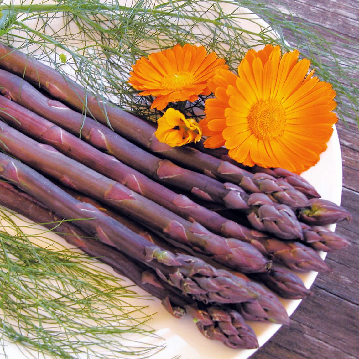 Purple Asparagus Seeds  Perfect for Planting