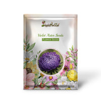 Aster Violet Seeds For Planting