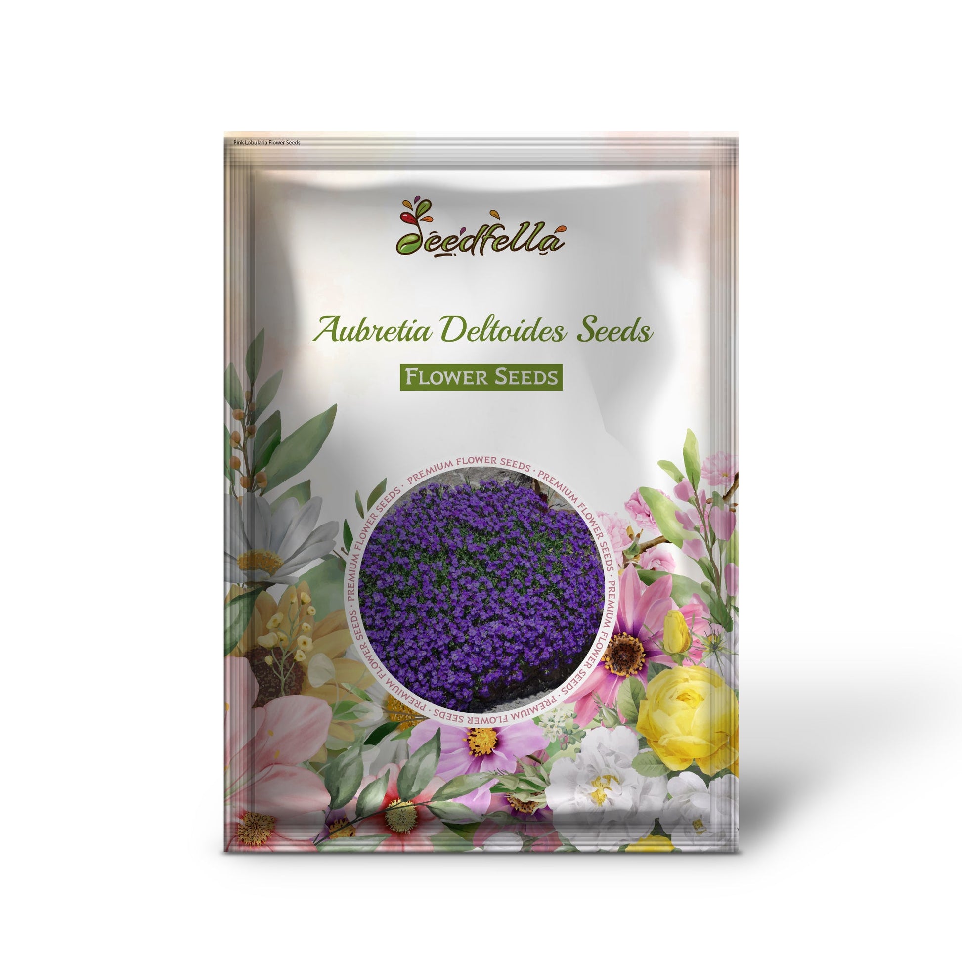 Aubretia Seeds For Planting