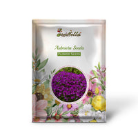 Aubrieta Flower Seeds For Planting