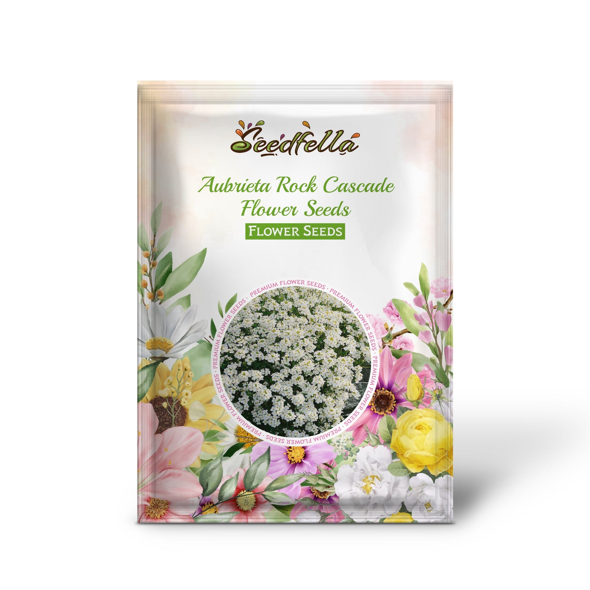 Aubrieta white rock cascade seeds germination seedlings