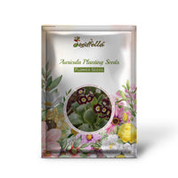 Auricula Garden Flower Seeds