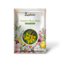 Birdsfoot seeds for beds and garden borders