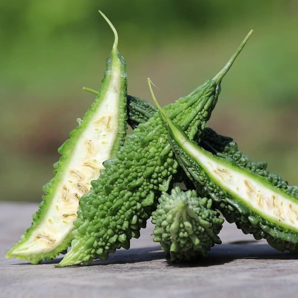 Bitter gourd seeds for vegetable patch and healing garden