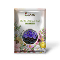 Blanket flower blue violet garden seeds for easy planting