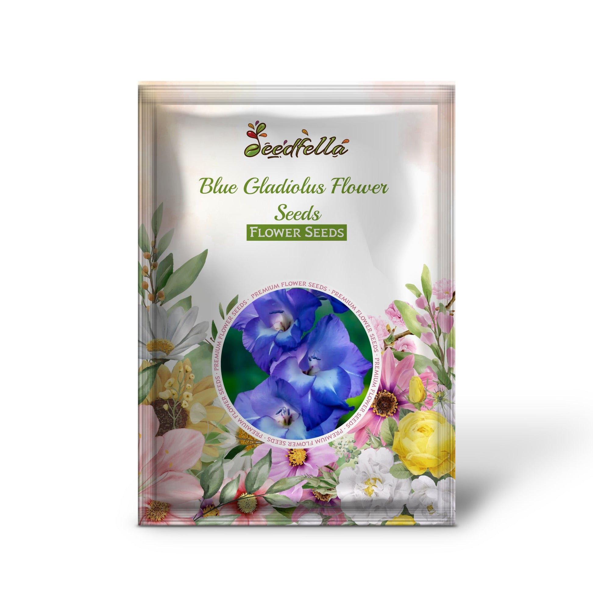 Premium Blue Gladiolus seeds vibrant blue bloom seeds