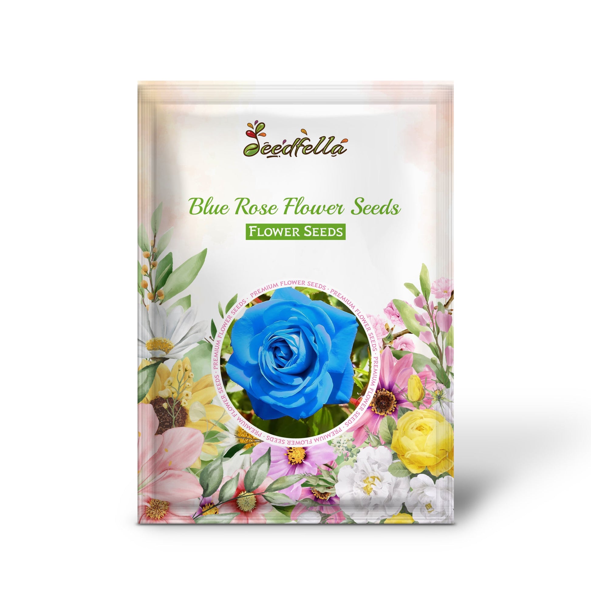Blue rose seeds germinating seedlings