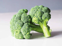 Broccoli seedlings growing in garden