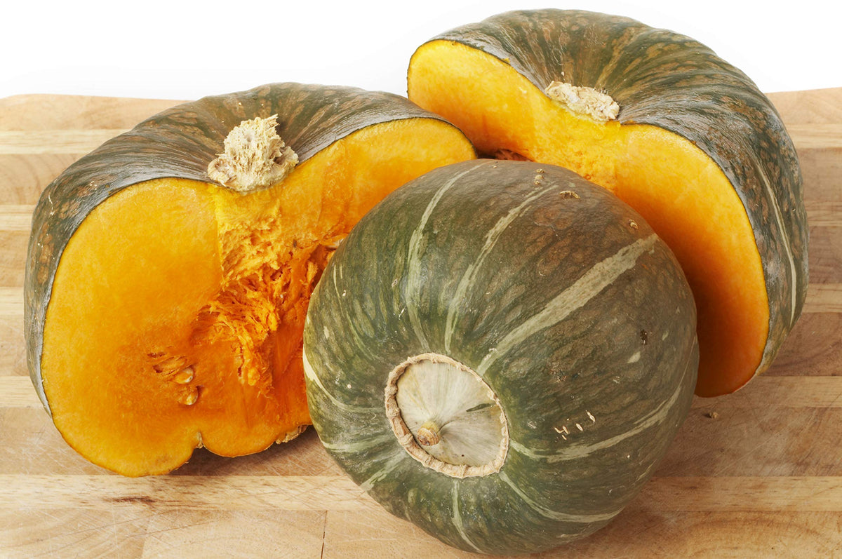 Buttercrop Burgess squash seeds for planting