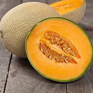 Cantaloupe Cucumis melo seeds for planting