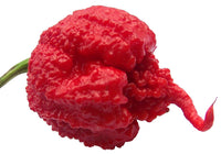Carolina Reaper pepper seeds for home garden planting