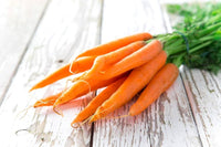 Closeup of high-quality Daucus carota carrot seeds