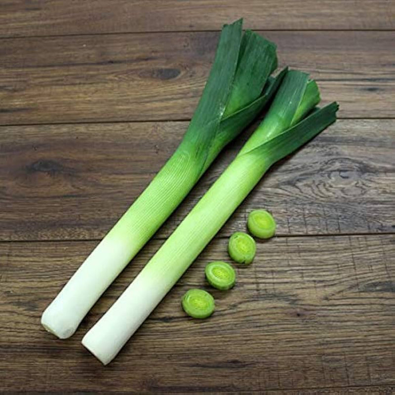 Casimir Leek seeds Allium ampeloprasum ornamental allium