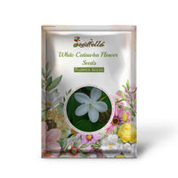 Catawba White Seeds For Planting