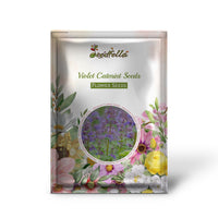 Catmint Violet Seeds For Planting