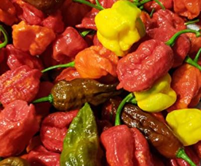 Mixed Habanero Seeds for Planting  Perfect for Your Garden