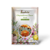 Chrysanthemum Mixed Seeds For Planting