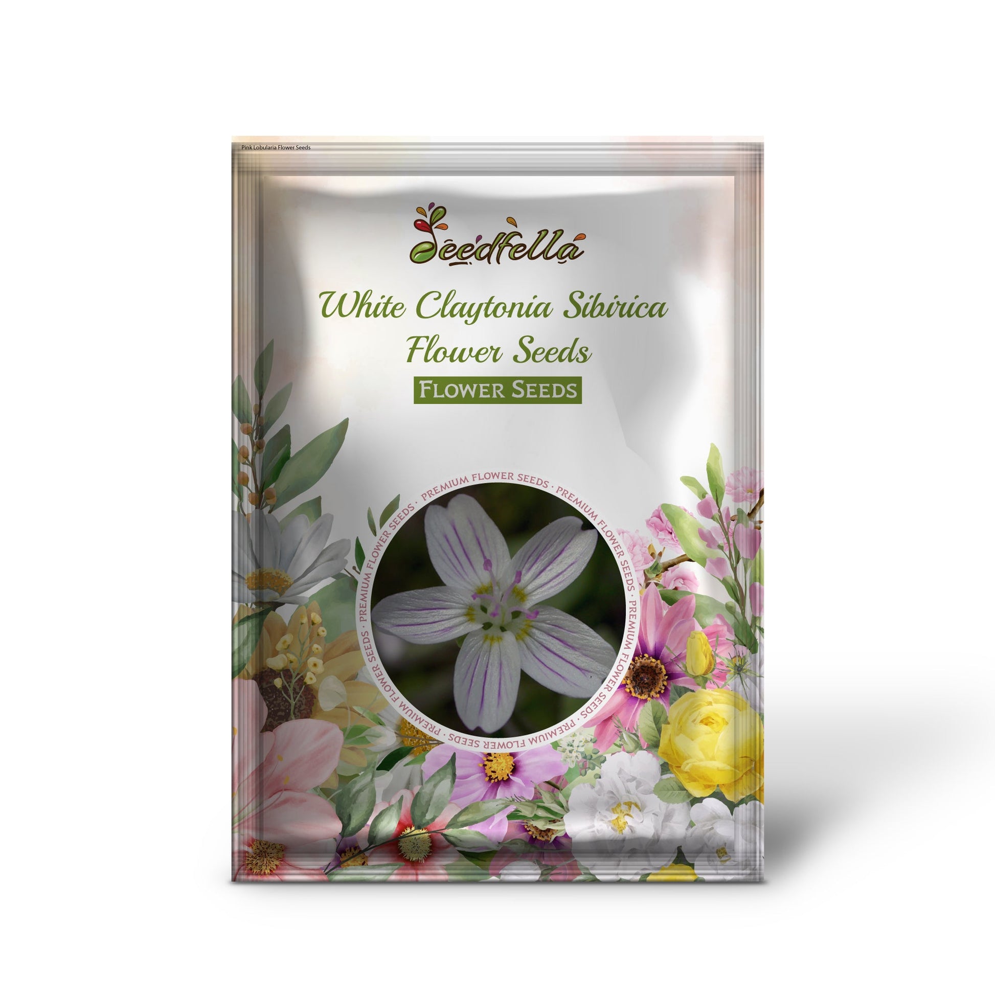 Claytonia Sibirica White Seeds For Planting