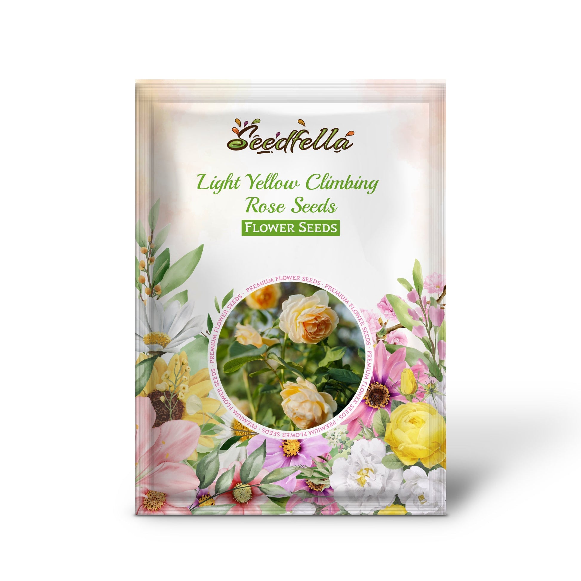 Light yellow climbing rose seeds germination