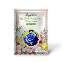 Climbing Roses Sky Blue Seeds