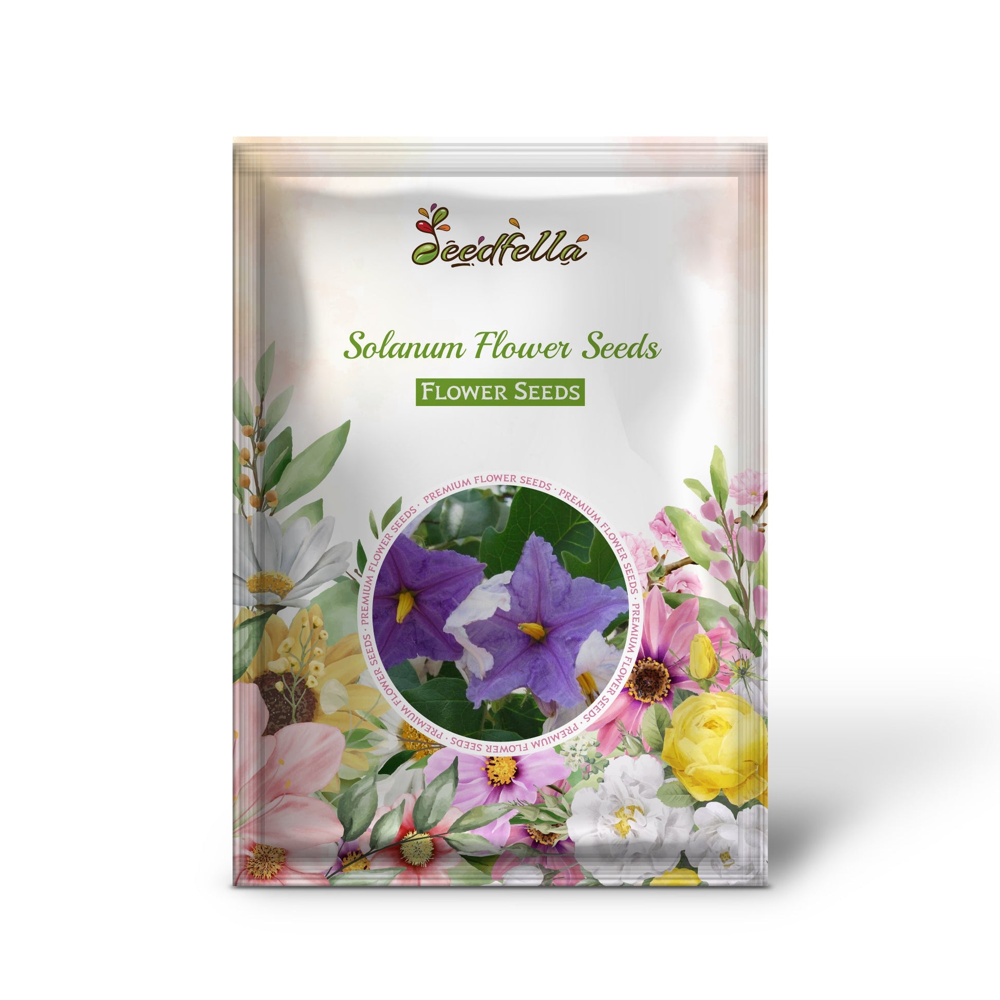 Non GMO Solanum seeds for easy home planting