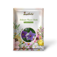 Non GMO Solanum seeds for easy home planting